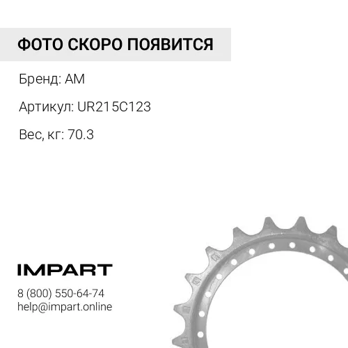 UR215C123 Звёздочка