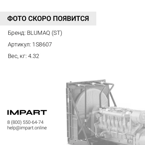 1S8607 ПЕРЕГОРОДКА BLUMAQ (ST)