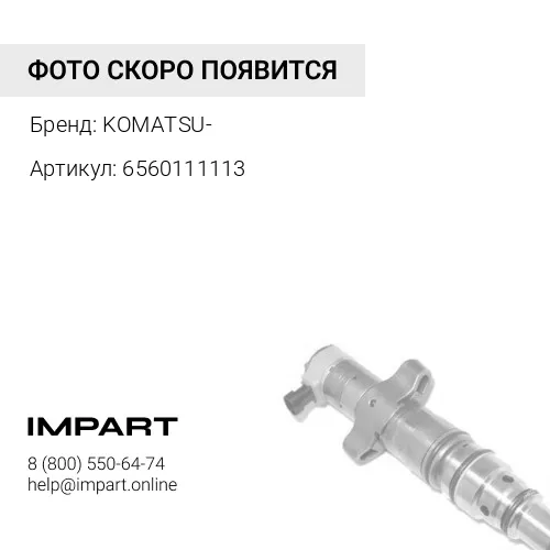 6560111113 Топливная форсунка Komatsu 6560-11-1114 / 4902827