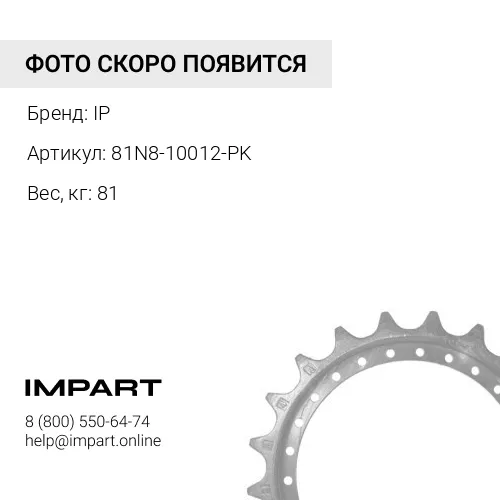 81N8-10012-PK ЗВЕЗДОЧКА