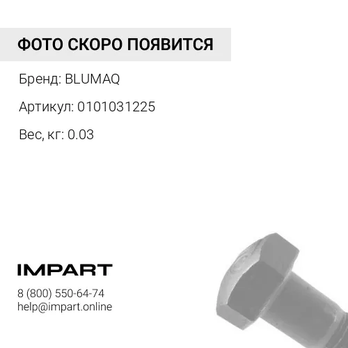 0101031225 Болт