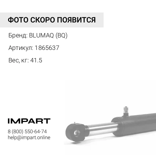 1865637 BQ ПАЛЕЦ