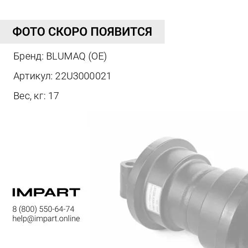 22U3000021 РОЛИК В СБОРЕ