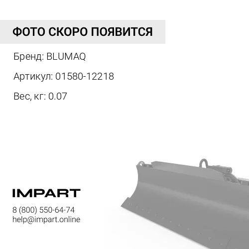01580-12218 Гайка BLUMAQ