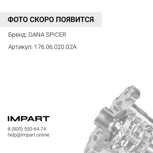176.06.020.02A Сателлит