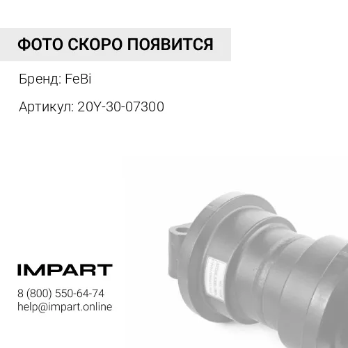 20Y-30-07300 Каток FeBi