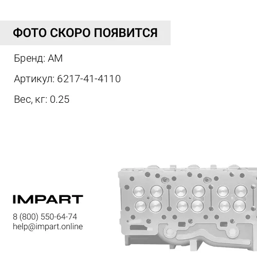 6217-41-4110 Клапан впуск. AM