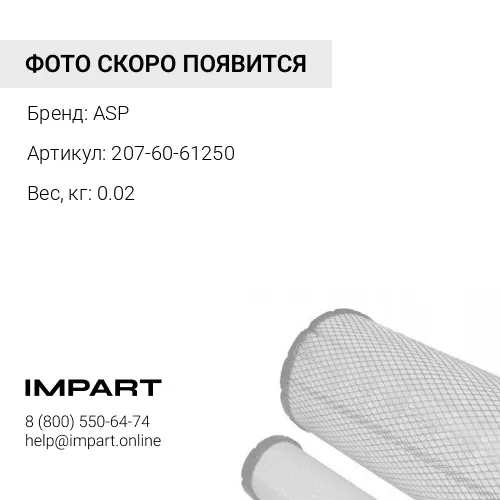 207-60-61250 Фильтр управления ASP