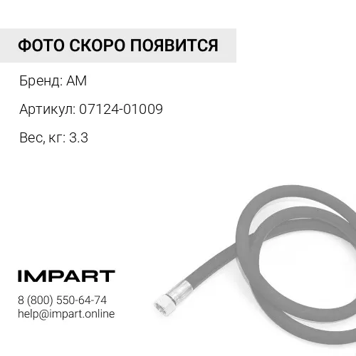 07124-01009 РВД AM