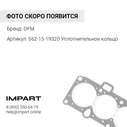 562-15-19320 Уплотнительное кольцо
