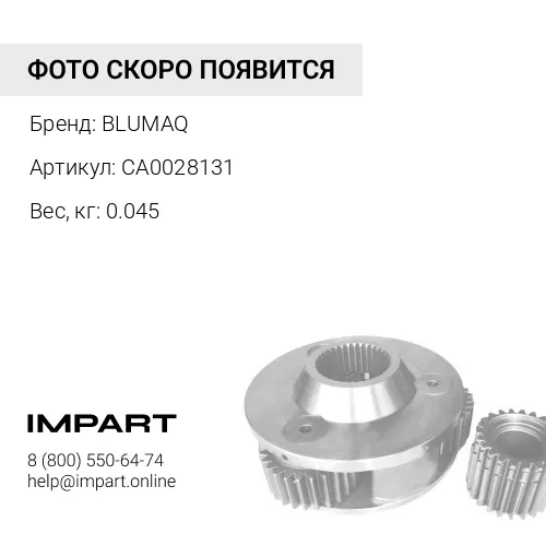 CA0028131 ПРОКЛАДКА