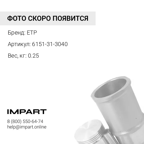 6151-31-3040 Вкладыш шатунный ETP