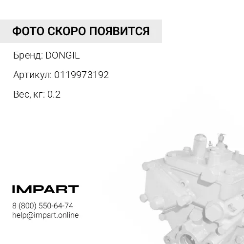 0119973192 Ремень клиновой (AV13x990) 0119973192 DONGIL