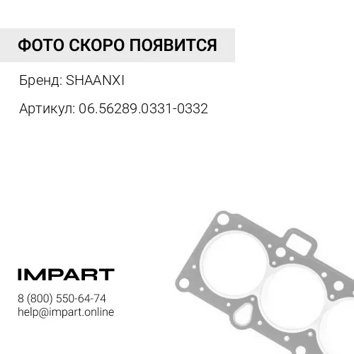 06.56289.0331-0332 Сальник 145*175*13/14 задней ступицы F3000 (внутр+наружн) SHAANXI