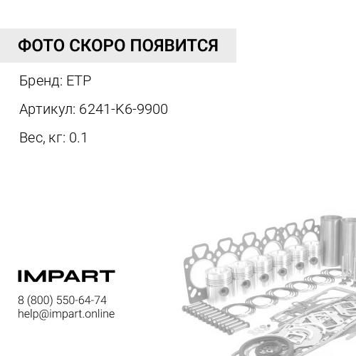 6241-K6-9900 Набор прокладок ETP