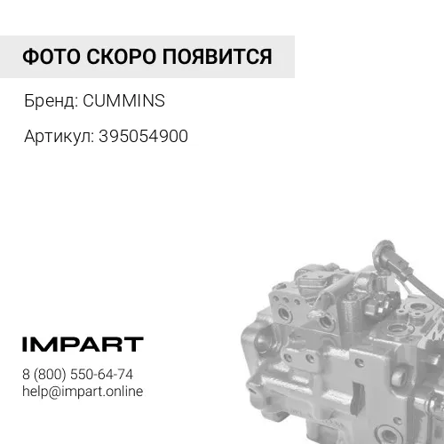 395054900 Палец поршня