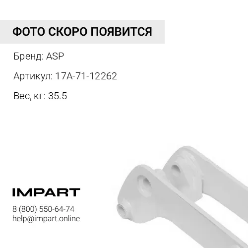 17A-71-12262 Опора балки (цапфа) ASP