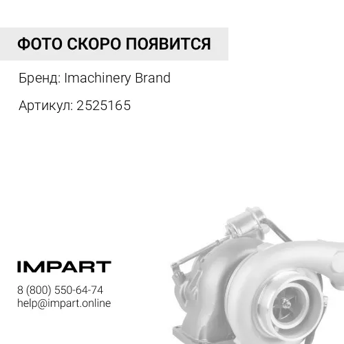 2525165 Турбина 252-5165/10R-3749/B2G B2G005