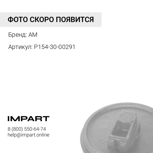 P154-30-00291