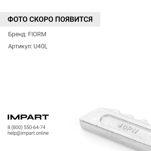 U40L Замок FIORM