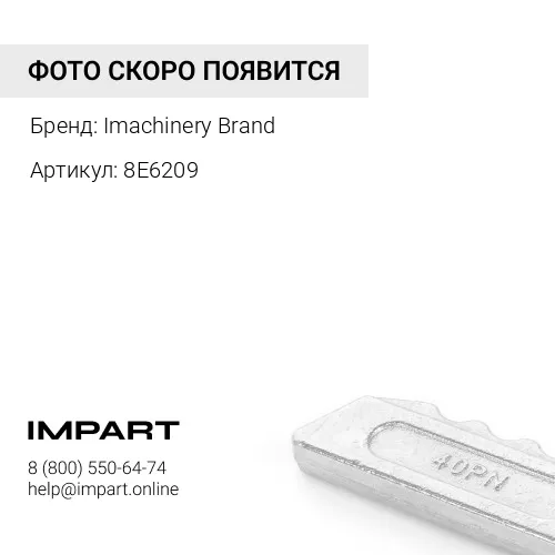 8E6209 Стопор коронки 8E-6209/4T-0001