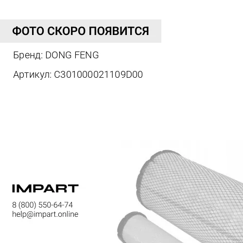 C301000021109D00 Фильтр ретардера DONGFENG