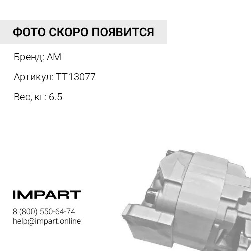 TT13077 Генератор TT13077