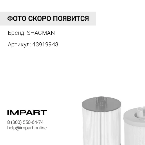 43919943 Фильтр топливный Евро3 тонкой очистки P550880 612600081334 SHACMAN