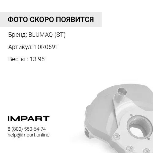 10R0691 ДЕМПФЕР BLUMAQ (ST)