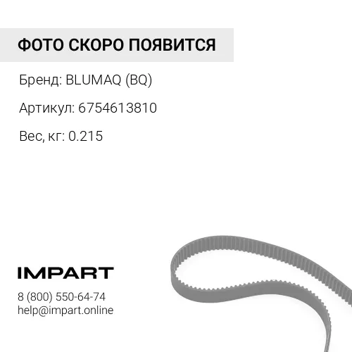 6754613810 РЕМЕНЬ