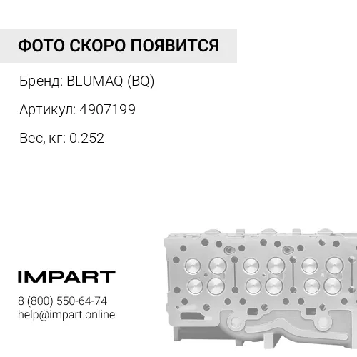 4907199 ВПУСКНОЙ КЛАПАН