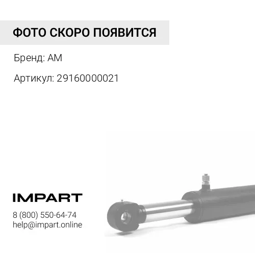 29160000021 Деталь