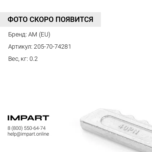 205-70-74281 Палец крепления коронки ковша AM (EU)