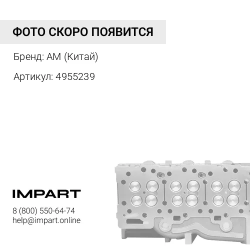 4955239 Клапан впускной M11, QSM11 4926069