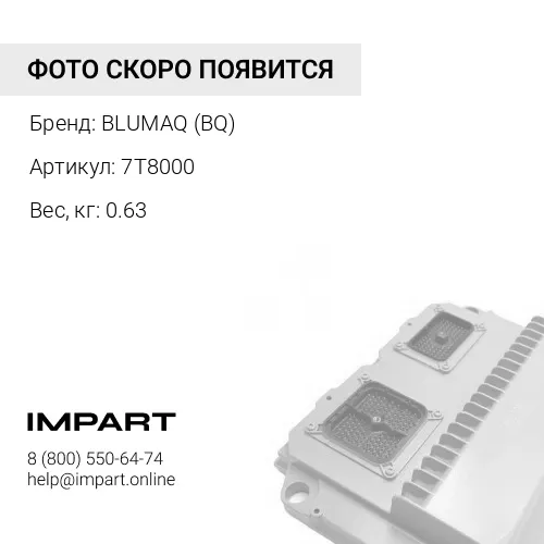 7T8000 ПРЕОБРАЗОВАТЕЛЬ BLUMAQ (BQ)