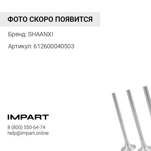 612600040503 Коллектор впускной WP-10 SHAANXI