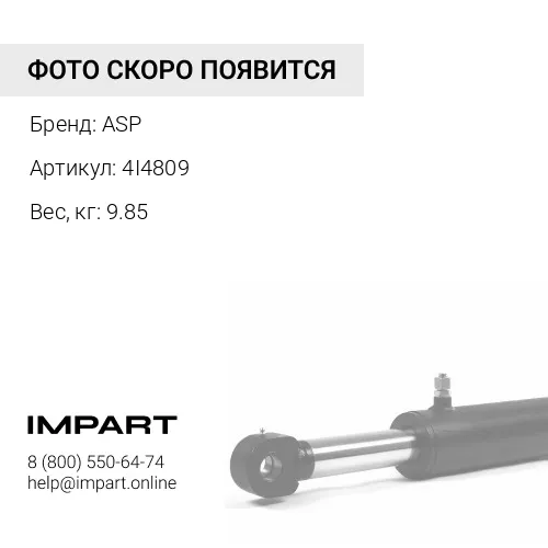 4I4809 Палец ASP