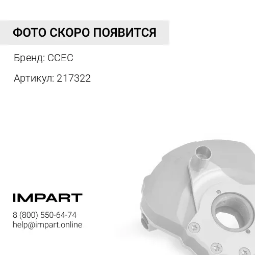 217322 ДЕМПФЕР ВИБРАЦИОННЫЙ 3081040