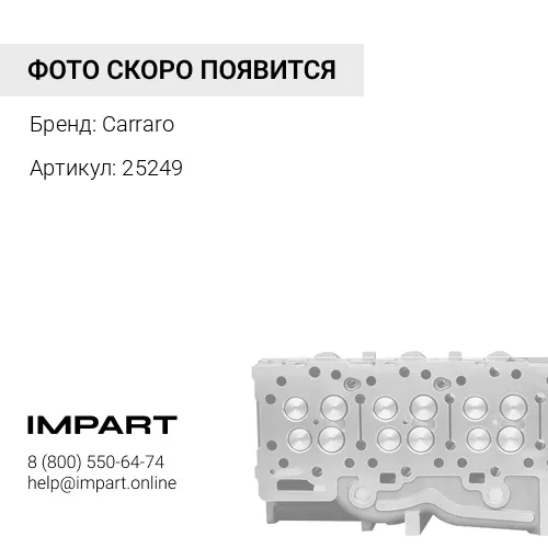 25249 Сальник Carraro