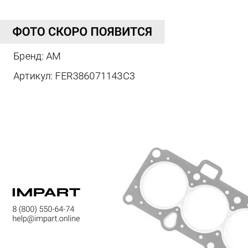 FER386071143С3 Прокладка