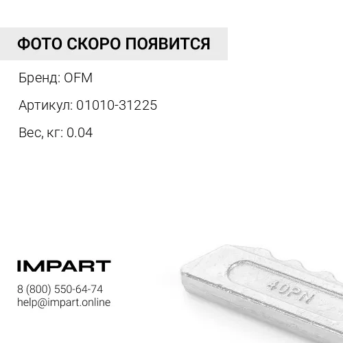 01010-31225 Болт