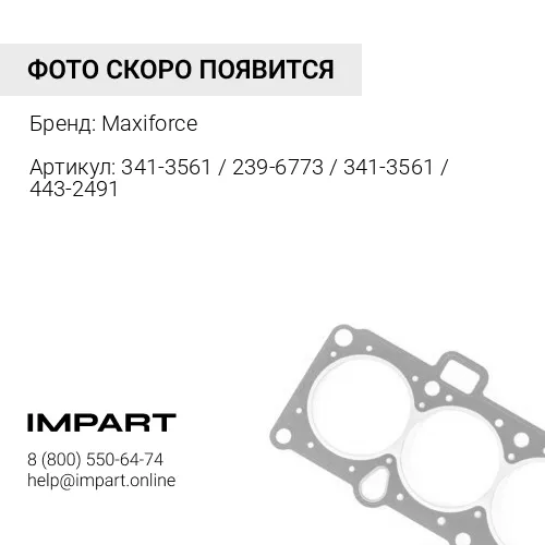 341-3561 / 239-6773 / 341-3561 / 443-2491 Прокладки (к-т на двигатель) CAT 3044 Maxiforce